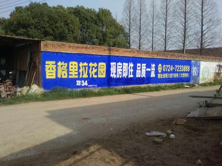 洛宁墙体广告对比传统广告媒介的优势在哪里