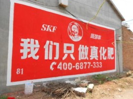 洛宁刷墙广告”蕴含了时代命题