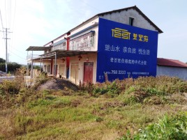 洛宁必须知道的墙体广告形势
