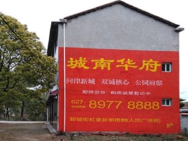 洛宁百分之90的人都不了解的农村墙体广告