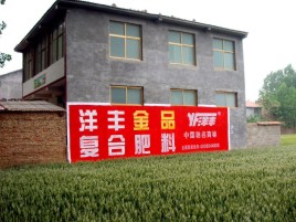洛宁如何让墙体广告展现最大化效果