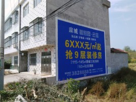洛宁墙体广告质量分析
