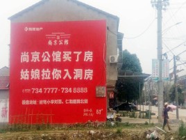 洛宁墙体广告在乡镇、农村市场的媒体优势