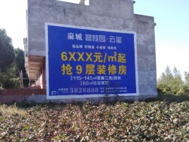 洛宁品牌公司青睐的墙体广告