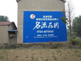 洛宁墙体广告在乡镇、农村市场的媒体优势