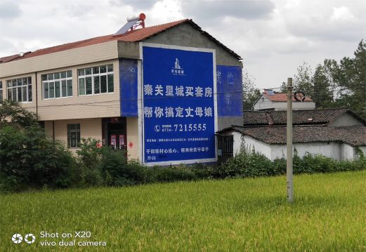 洛宁决定墙体广告价格的因素有哪些?