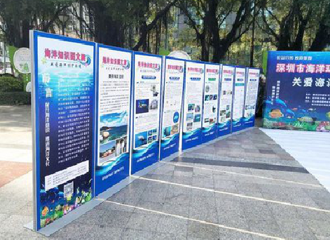 洛宁KT板的种类和知识。